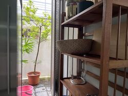 Tai Keng Villas (D19), Terrace #574277301